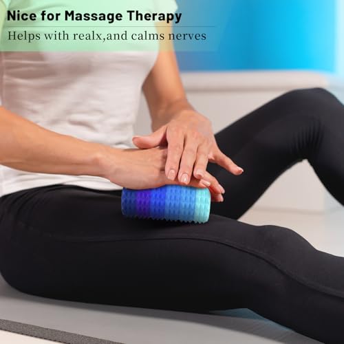 Fidget Toys Adults, 6 Pack Silicone Massage Roller Handheld for Stress Relief & Focus, Sensory Toys for Teens Kids with Autism ADHD Anxiety, Textured Quiet Fun Gift (Blue)