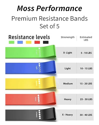 Premium Resistance Bands, for Physical Therapy, Strength Training, Pilates Exercise, Home Workouts, Strong Latex Rubber Loop Bands, Set of 5