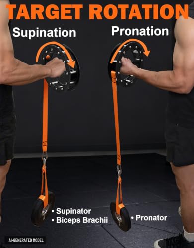 Fitarc Forearm Wrist Strengthener Grip Strength Trainer - color: Forearm Rotation Trainer