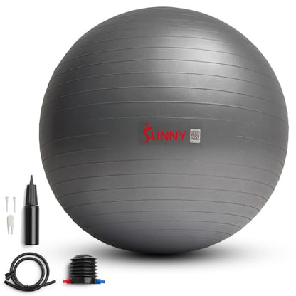Sunny Health & Fitness Premium Anti-Burst Exercise & Stability Ball - size: 25.6" (65cm)