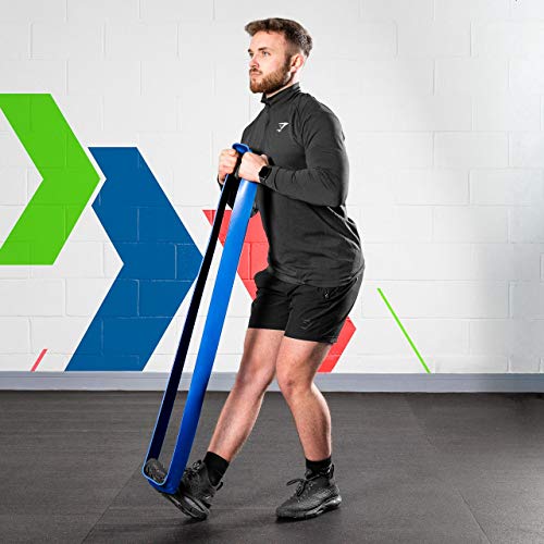 METIS Resistance Exercise Bands | Heavy Duty Latex Power Bands for Strength Training, Fitness Workouts, and Assisted Pull-Ups – 6 Resistance Levels, Sold Individually or as a Set - color: Blue (141-229lb Resistance)