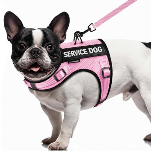 Service Dog Vest for Small Dogs - Air Mesh Breathble Emotional Support Animal Vest with Velcro Patches - Puppy Harness and Leash Set Adjustable Neck and Chest