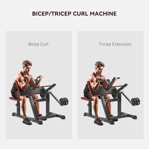 Soozier 2-in-1 Bicep Preacher Curl Bench with Adjustable Seat and Elbow Cushion, Plate Loaded Curl Machine & Tricep Extension Machine for Home Gym Workout