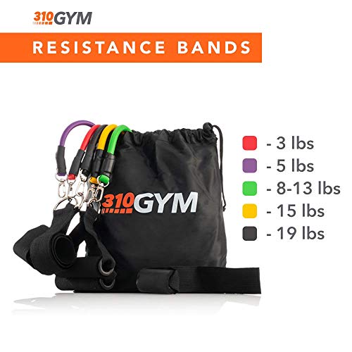 310 Nutrition Gym Kit - 5-Piece Latex Resistance Band Set with Handles, Door Anchor & Carry Bag | Full-Body Home Workout System for Strength, Mobility & Toning