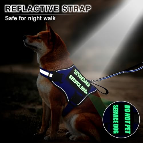 Service Dog Vest Harness and Leash Set+10 Patches,No Pull&Easy Walk Reflective Dog Harness with Soft Padded Handle for Training/Everyday,Fit Small/Medium/Large/Extra-Large Dogs (Blue M)