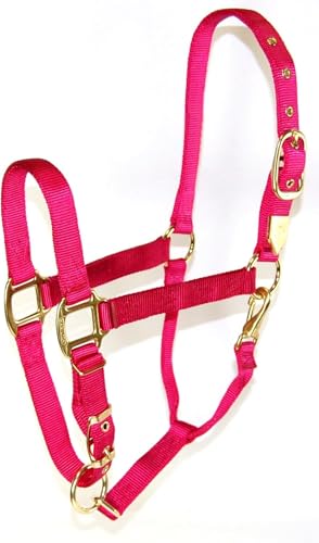 Hamilton Deluxe Horse Halter, 1" Triple Ply Nylon, Adjustable Chin Strap, Easy On/Off Throat Snap, Large Horse or 2 Year Old Draft, 1100-1600 lbs, Raspberry - color: Raspberry, size: Large, 1100-1600lbs