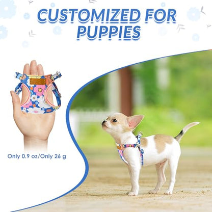 Lukovee No Pull Puppy Harness and Leash Set - Adjustable Lightweight Soft Suede Pet Harness Vest, with Snap Buckle & 51in Leash for Small Medium Dogs (Blue Flower, XXS) - color: ·Blue Flower, size: XX-Small ( 2.2-6lb )