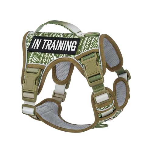 No-Pull Dog Harness for Small Dog Breeds, Escapeproof Easy Walking Reflective Adjustable Lightweight Dog Vest with Breathable Oxford Material, Easy on Easy Off with Neck Buckle, Green Ethnic XS