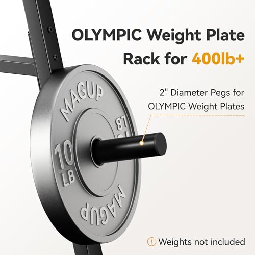 Olympic Weight Plate Rack 400LBs, Heavy Duty Weight Tree Rack for 2-Inch Plates, Barbell & Bumper Plate Storage, Free Weight Rack & Gym Plate Holder for Home Gym