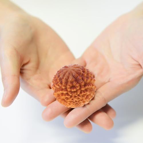 SOIMISS 2 Pieces Durian Shaped Wood Hand Massage Balls Mini Rolling Massagers Baoding Style Fitness Supplies Stress Relief Muscle Relaxation Acupoint Stimulators Roller Light Yellow Length 1.57 Inch