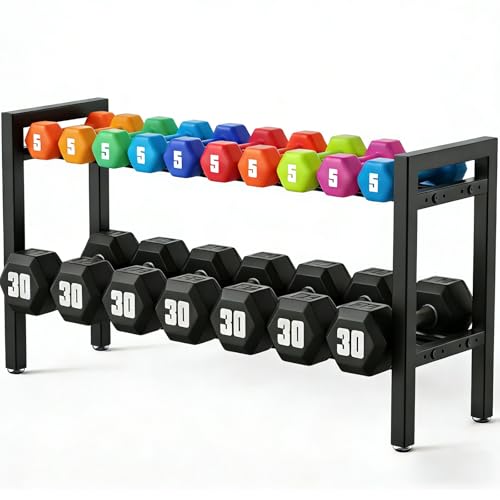 Dumbbell Storage Rack, Weight Rack for Dumbbells, 2 Tier Adjustable Kettlebell Rack Shelf Weight holder for Home Gym Heavy-Duty Space-Saving (Rack Only)