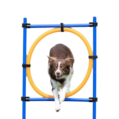 TRIXIE Dog Agility Ring, Portable Dog Hoop, Obstacle Course Equipment, Obedience Training
