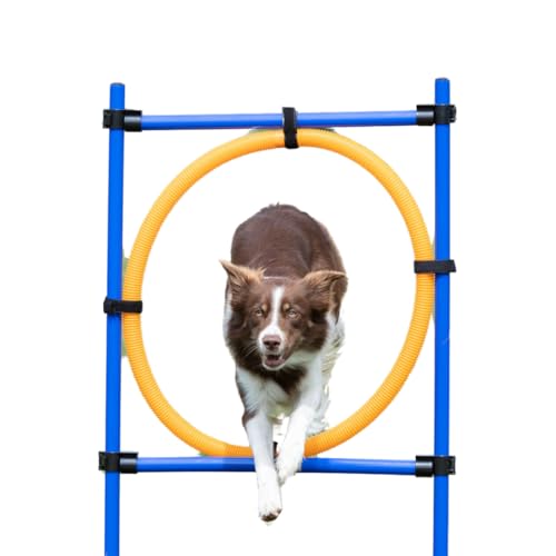 TRIXIE Dog Agility Ring, Portable Dog Hoop, Obstacle Course Equipment, Obedience Training