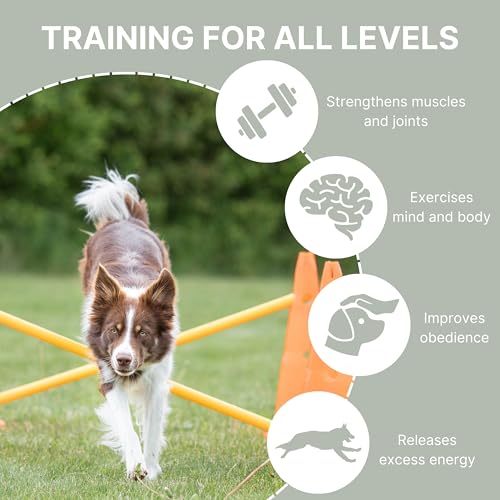 TRIXIE Dog Agility Hurdle Cone Set – Jump Set with Height Adjustable Crossbar for Beginners to Advanced, Training Equipment for Dogs – 6 x Cones, 3 x Agility Rods