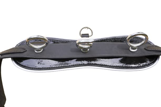 RESISTANCE Miniature Horse Black Patent Leather Driving Harness with Red and White Trim