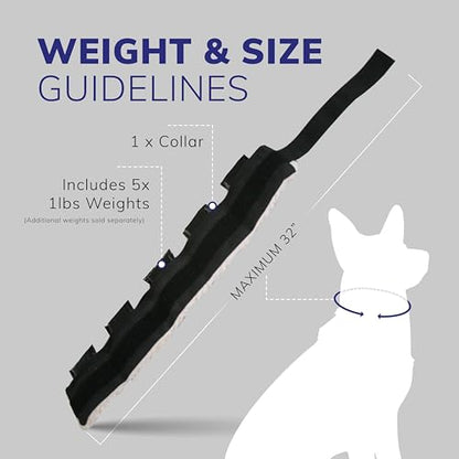 ActiveDogs Weighted Dog Collar for Muscle Building and Tactical Training - Dog Weighted Vest for Exercise - Includes 5x1lb Weights & Sheepskin Padding - Ideal for K9, Bully, Bull Terrier & More