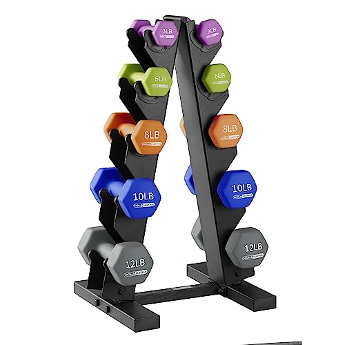 Neoprene Dumbbell Weights Set w/Rack, Home Gym Equipment - Portable Weighted Exercise Dumbbells for Fitness, Training, and Lifting Workouts - color: Multicolor, size: 76 LB