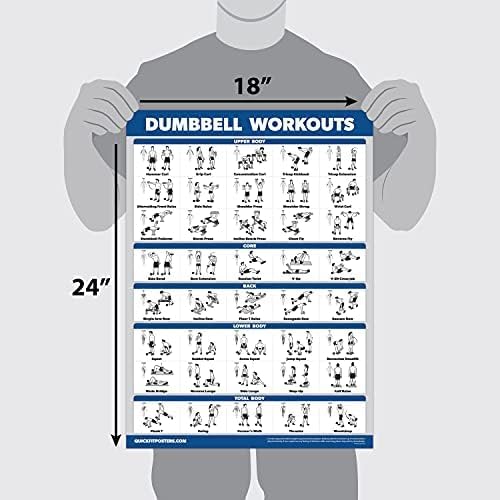 Palace Learning Dumbbell Workout Exercise Poster - Free Weight Body Building Guide | Home Gym Chart - LAMINATED, 18" x 24" - color: Laminated