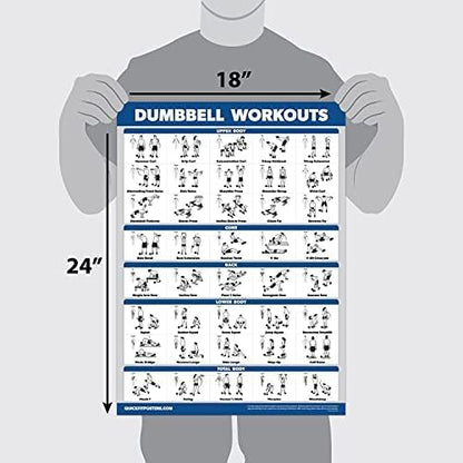Palace Learning Dumbbell Workout Exercise Poster - Free Weight Body Building Guide | Home Gym Chart - LAMINATED, 18" x 24" - color: Laminated