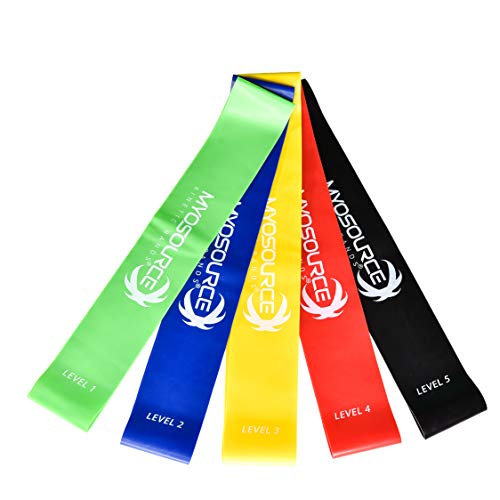 Total Body Exercise & Fitness at Home Workout Kit - Includes Body Weight Suspension Straps, Set of 5 Resistance Loop Exercise Bands