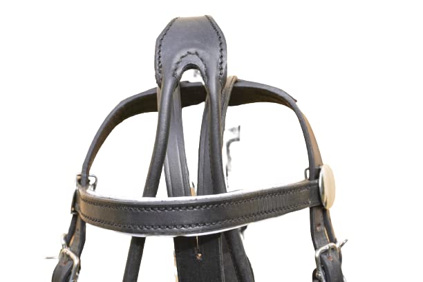 RESISTANCE Miniature Horse Black Patent Leather Driving Harness with Red and White Trim