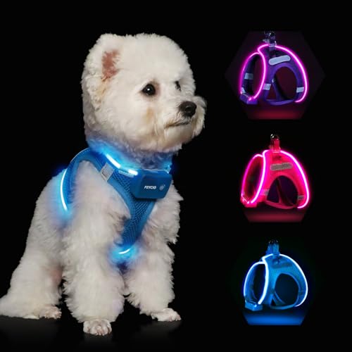 Light Up Dog Harness, Rechargeable LED Dog Harness for Small Medium Dogs - color: Blue, size: XS