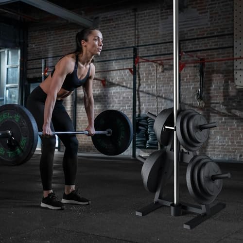 A-Frame Weight Plate Tree for 1" Olympic Plates - Holds 300 lbs, Dumbbell Rack and Home Gym Storage Stand - Organize Your Workout Area