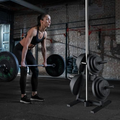 A-Frame Weight Plate Tree for 1" Olympic Plates - Holds 300 lbs, Dumbbell Rack and Home Gym Storage Stand - Organize Your Workout Area
