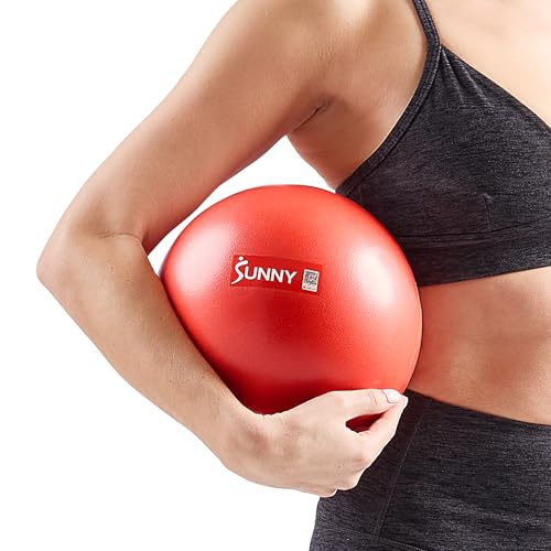 Sunny Health & Fitness Premium Anti-Burst Exercise & Stability Ball - size: 9" (23cm)
