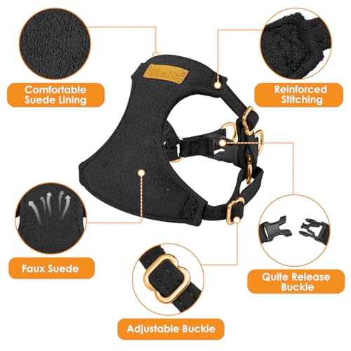 Lukovee No Pull Small Dog Harness and Leash Set - Adjustable Lightweight Soft Puppy Vest, Step-in Pet Harness with 49in Leash for Daily Walking Small Medium Dogs (Black, XXS) - color: Black, size: XX-Small (2.2-6 lb)