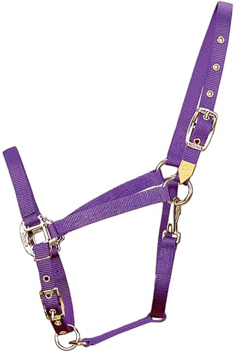 Hamilton Deluxe Horse Halter, 1" Triple Ply Nylon, Adjustable Chin Strap, Easy On/Off Throat Snap, Average Horse, Arabian, or Yearling Draft, 800-1100 lbs, Purple - color: Purple, size: Average, 800-1100lbs