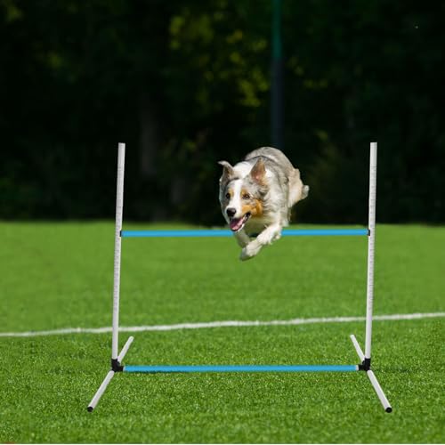 Halloscume 6 Pcs Dog Agility Training Jumps Hurdles,Blue and White - color: Blue and White