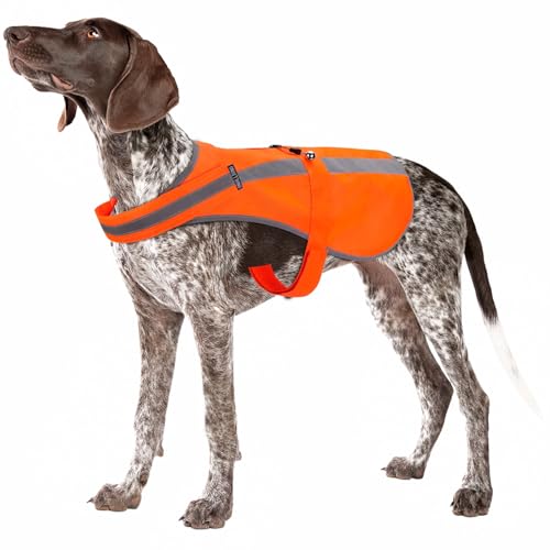 Reflective Dog Vest for Small Medium Breeds, High Visibility Dog Safety Vest with Removable Bell Keep Safe from Hunting, Training & Cars Accidents - color: Blaze Orange, size: S