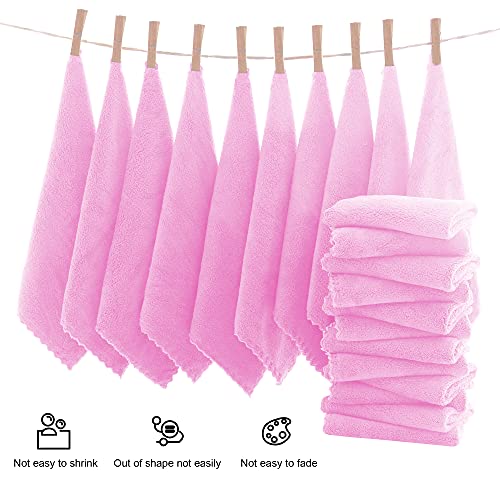 MOONQUEEN Ultra Soft Premium Washcloths Set - 12 x 12 inches - 24 Pack - Quick Drying - Highly Absorbent Coral Velvet Bathroom Wash Clothes - Use as Bath, Spa, Facial, Fingertip Towel (Frozen Berry)