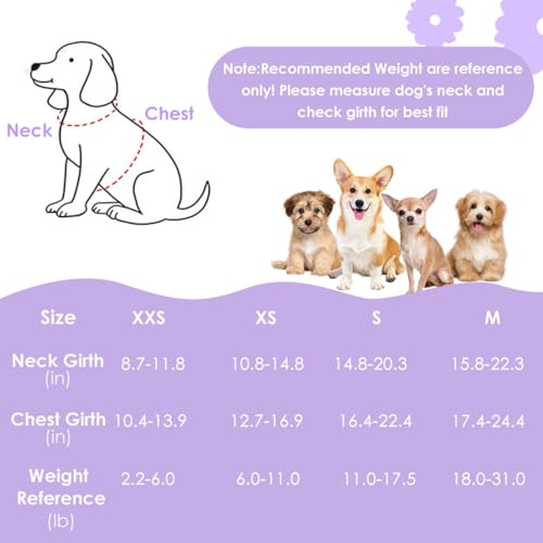 SlowTon Small Dog Harness - No Pull Dog Harness and Leash Set, Soft Mesh Lightweight Puppy Vest Harnesses, Adjustable Pet Harnesses for XXS XS Small Medium Easy Walk Hiking (Purple, S)