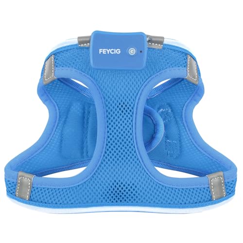 Light Up Dog Harness, Rechargeable LED Dog Harness for Small Medium Dogs - color: Sky Blue, size: S