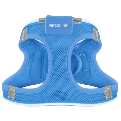 Light Up Dog Harness, Rechargeable LED Dog Harness for Small Medium Dogs - color: Sky Blue, size: XS
