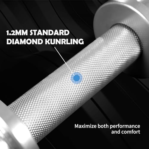 16" Olympic Dumbbell Handle, Dumbbell Bar for 2-inch Olympic Weight Plates, Loadable Dumbbells for Home Gym Strength Training, 2 Pair of Spring Collars Included - color: Silver
