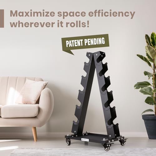LIONSCOOL Premium Solid Steel Dumbbell Rack Stand Only, A-Frame Portable Weight Storage Organizer with Optional Tray and Wheels, Perfect for Home Gym Fitness Storage (200LBS/300LBS/700LBS Weight Capacity Available)