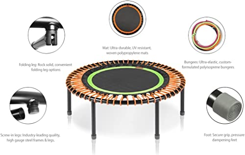 bellicon Mini Trampoline | Bungee Suspension up to 440 lbs | Indoor Fitness Rebounder for Adults | Screw-in Legs