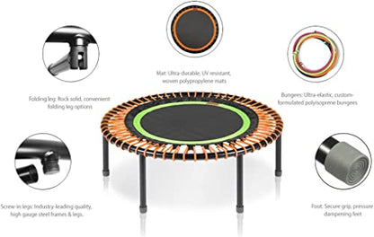 bellicon Mini Trampoline | Bungee Suspension up to 440 lbs | Indoor Fitness Rebounder for Adults | Screw-in Legs