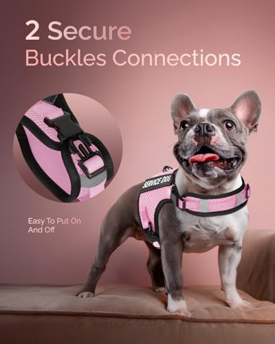Service Dog Vest for Small Dogs - Air Mesh Breathble Emotional Support Animal Vest with Velcro Patches - Puppy Harness and Leash Set Adjustable Neck and Chest