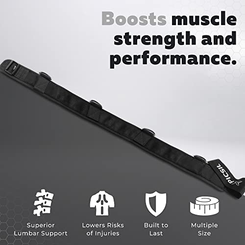 PICSIL Dip Belt, Weighted Belt, Weightlifting Belt for Training, Fitness, Gym (Large)
