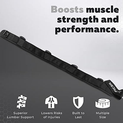 PICSIL Dip Belt, Weighted Belt, Weightlifting Belt for Training, Fitness, Gym (Large)