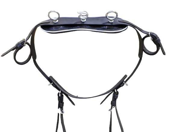 RESISTANCE Miniature Horse Black Patent Leather Driving Harness with Red and White Trim