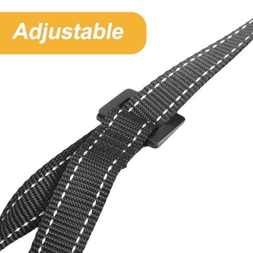 Gymnastic Rings Set with 2m Adjustable Straps Thickened Pull-up Equipment for Exercise Training Indoor Home Workout