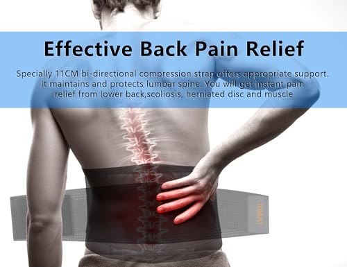 Back Braces for Lower Back Pain, Lumbar Support Belt, L | Dual adjustable compression straps with breathable support for lifting, working, sitting, standing, and daily back relief