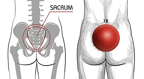 Pelvic Clock® Exercise Device for Hip & Lower Back Pain Relief