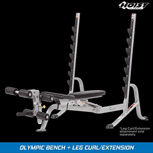 Olympic Weight Bench – 7-Position Adjustable Foldable Strength Training Bench for Flat, Incline & Decline Workouts | Compact Home Gym Bench (Accessories Not Included)
