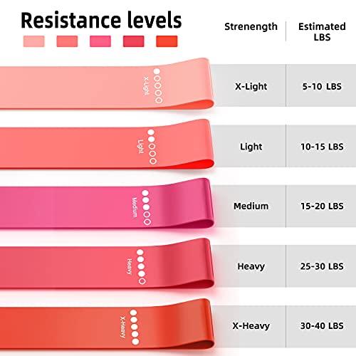 Bundle Set of 8 Resistance Bands for Workout, 3 Fabric Booty Bands and 5 Latex Exercise Bands with 2 Portable Bags